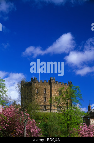 Il mantenere, Durham Castle, Durham City, nella contea di Durham, Inghilterra Foto Stock