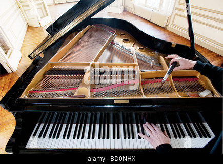 Piano essendo sintonizzato Foto Stock