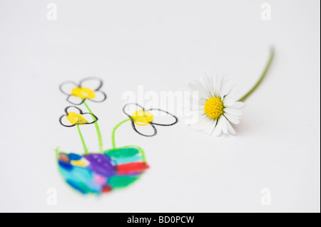 Fiori a margherita con un bambino del disegno di fiori Foto Stock