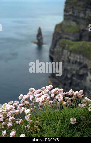 Viste le famose Scogliere di Moher in Co Clare Irlanda Foto Stock