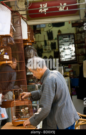 Uomo con gabbie di uccelli bird market Hong Kong Cina Foto Stock