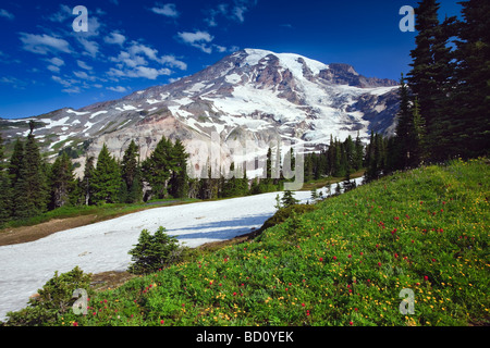 Vicino al Paradise Inn trail a monte Rainier nello Stato di Washington STATI UNITI D'AMERICA Foto Stock