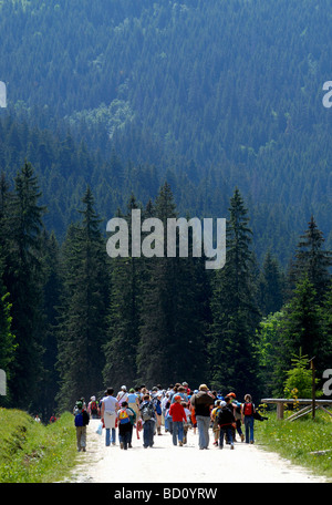 Gli escursionisti a piedi nei Monti Tatra Polonia Foto Stock