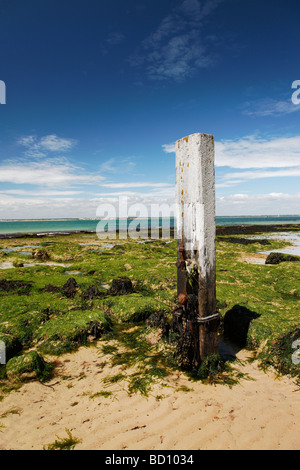 Una vista di spiagge sabbiose in Colwell Bay area dell'Isola di Wight Foto Stock