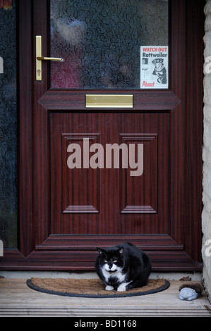 Un gatto seduto su di una porta con un cane Rottweiler segno di avvertimento sulla casa PORTA ANTERIORE REGNO UNITO Foto Stock