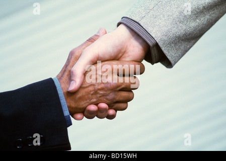 Stretta di mano tra i professionisti del settore Foto Stock