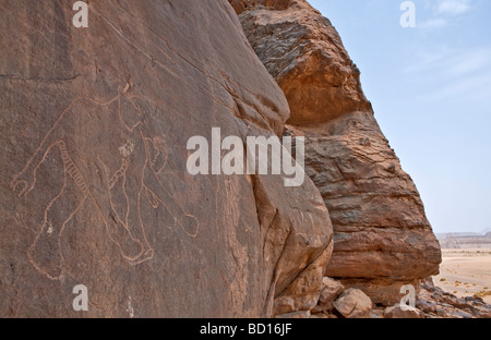 Libia deserto del Sahara incisioni rupestri in Akakus zona rocciosa Foto Stock