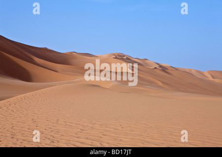 Libia deserto del Sahara il Ubari zona di dune Foto Stock