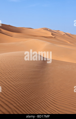 Libia deserto del Sahara il Ubari zona di dune Foto Stock