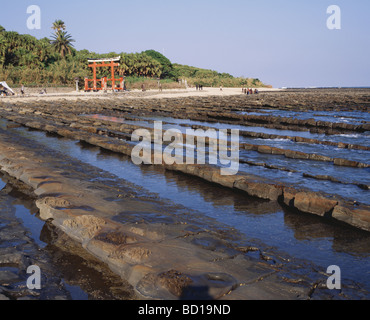 Aoshima e Orco Washboard della Prefettura di Miyazaki Kyushu in Giappone Foto Stock