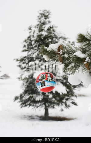 Decorazione per albero di Natale appesi da neve ramo smerigliato Foto Stock