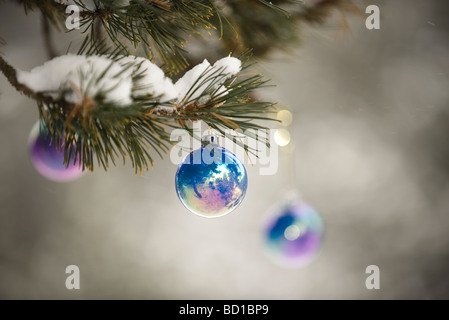 Addobbi natale pendente dal ramo di albero spolverato di neve Foto Stock