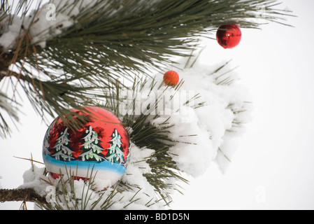 Colorate decorazioni di Natale appeso coperto di neve rami sempreverdi Foto Stock