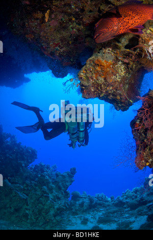 I subacquei tecnici nuoto fuori dalla grotta nel Mare Rosso. Safaga, Mar Rosso Foto Stock