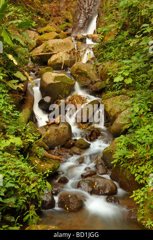 Costa Rica cascata Foto Stock