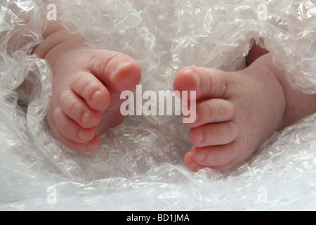 Piedi del bambino avvolto in Bubble Wrap Foto Stock