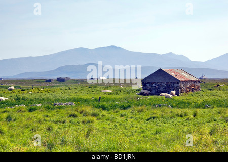 A Croftland Iochdar sostenuta dalle colline del sud Uist nelle Western Isles della Scozia Foto Stock