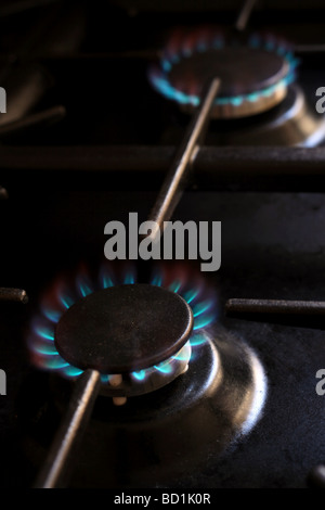 Accesa bruciatori a gas su un fornello domestico Foto Stock