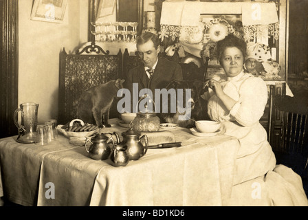 Giovane a cena con tre animali domestici Foto Stock