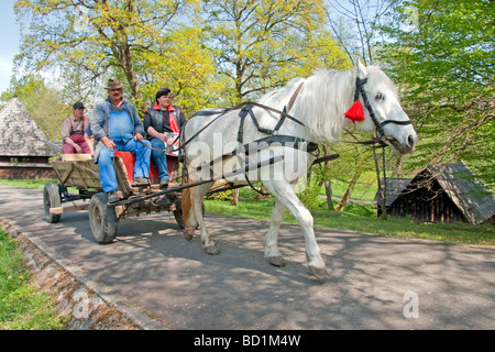 La Romania è il museo di musica folk tradizionale civiltà, tradizionale trasporto a Sibiu in Transilvania Foto Stock