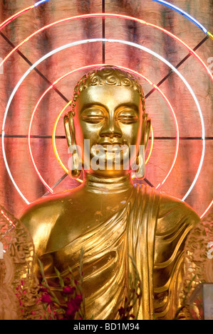 Immagine del Buddha con neon cerchi, Linh Phuoc Pagoda (Dragon Pagoda), Trai Mat Village, Dalat, Highlands Centrali, Vietnam Foto Stock