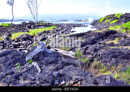 Roccia lavica sulla spiaggia Hawaii Foto Stock