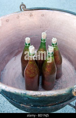 Dimostrazione del vecchio metodo per la creazione e la conservazione di concentrato di pomodoro e di imbottigliamento di esso Foto Stock