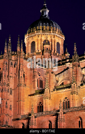 Spagna Salamanca: vista notturna delle Cattedrali Foto Stock