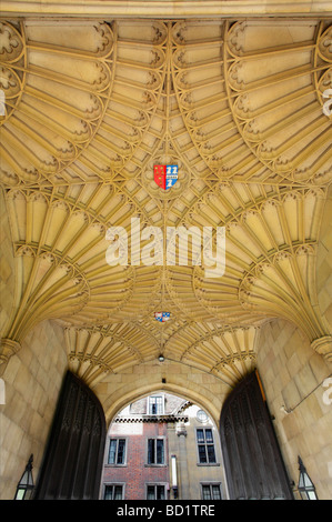 Soffitto a volta, il Corpus Christi College di Cambridge 3 Foto Stock