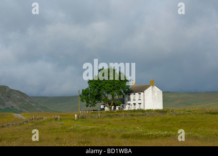 Tradizionale casa colonica, Superiore Teesdale, County Durham, England Regno Unito Foto Stock