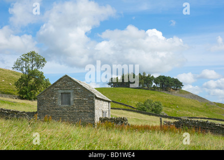 Tumulo Kirkcarrion, Middleton in Teesdale, County Durham, England Regno Unito Foto Stock