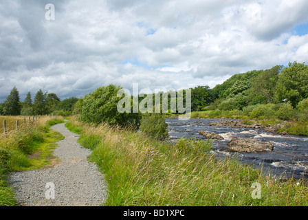 Fiume Tees, Superiore Teesdale, County Durham, England Regno Unito Foto Stock