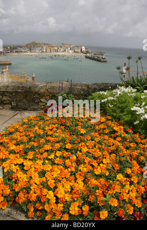 Città di St Ives, Inghilterra. Letto di fiori in piena fioritura con St Ives Harbour, spiaggia e Smeaton è Pier in background. Foto Stock