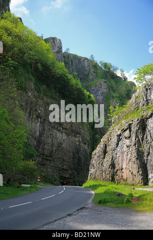 Le torreggianti scogliere calcaree in Cheddar Gorge, Somerset, Inghilterra, Regno Unito Foto Stock