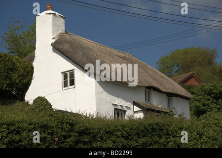 Cavi telefonici e dei fili circostanti un vecchio cottage con il tetto di paglia Foto Stock