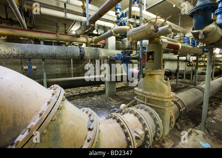 Biodigesters la produzione di biogas da fanghi di depurazione di convertire in energia verde a Daveyhulme impianto di depurazione delle acque reflue, Manchester, Regno Unito. Foto Stock