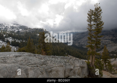 Glacially scolpito Lago Tenaya Foto Stock