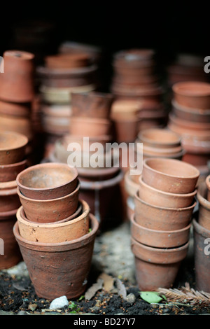 Vasi di terracotta in una Tettoia da giardino Foto Stock