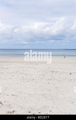 CALGARY BAY sull'isola di Mull Ebridi Interne una famiglia nuotare nel mare azzurro presso la spiaggia di sabbia bianca di Calgary Bay Foto Stock