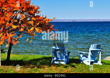 Di muskoka in legno sedie sotto cadere ad albero sul lago Foto Stock