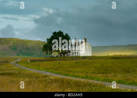 Tradizionale casa colonica, Superiore Teesdale, County Durham, England Regno Unito Foto Stock