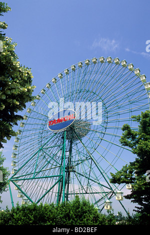 Mirabilandia la ruota panoramica Ravenna Italia Foto Stock