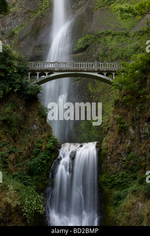 L'acqua cade in una piscina alla base delle cascate Multnomah vicino a Portland Oregon La cascata è 620 piedi di altezza Foto Stock