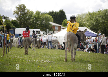 Donkey derby,vecchio tradizionale inglese estate pratica di piccole città e di villaggi intorno al regno unito,risalente a oltre un centinaio di anni Foto Stock