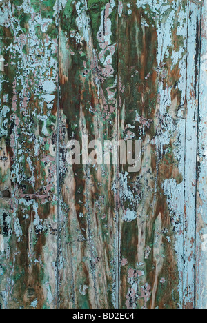 Peeling vernice su una porta di legno Larache Marocco Foto Stock
