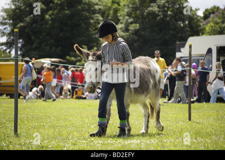 Donkey derby,vecchio tradizionale inglese estate pratica di piccole città e di villaggi intorno al regno unito,risalente a oltre un centinaio di anni Foto Stock