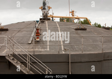 Biodigesters la produzione di biogas da rifiuti umani che viene poi bruciato per produrre elettricità a Daveuhulme impianto di depurazione delle acque reflue Foto Stock