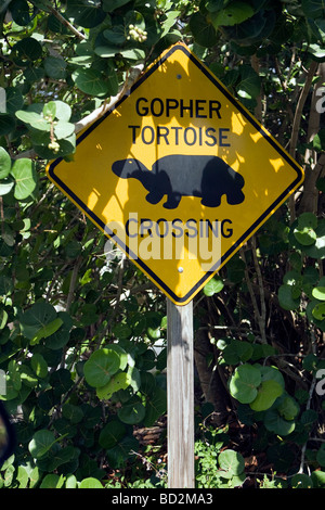 Gopher attraversamento tartaruga segno - Sanibel Island, Florida Foto Stock