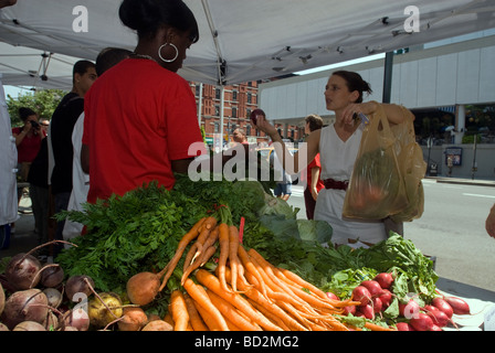 I clienti la scorta di frutta fresca e verdura al Fulton la gioventù del futuro Youthmarket in New York Foto Stock