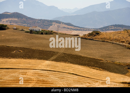 Old finca in un tipico ambiente rurale paesaggio andaluso in Spagna meridionale Foto Stock